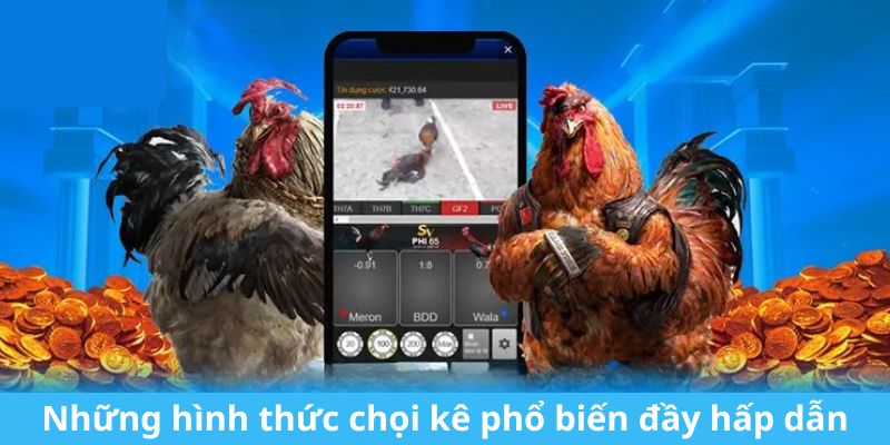 Những hình thức chọi kê phổ biến đầy hấp dẫn tại đá gà 88clb