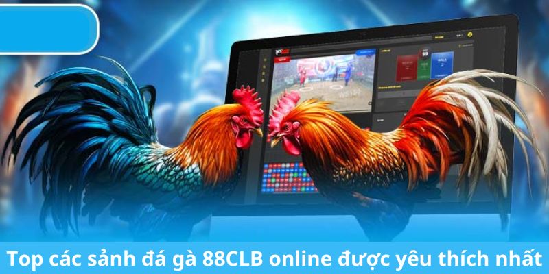 Top các sảnh đá gà 88CLB online được yêu thích nhất